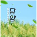 힐링투어라인 이미지
