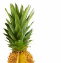 바디채널 시청점 이미지