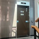 퍼피로비 | [속초] 속초 강아지 유치원 ‘퍼피로비’ 이용방법 및 방문후기