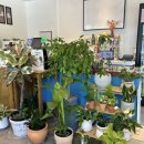 우리여성병원 이미지