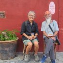 황금이삭 이미지