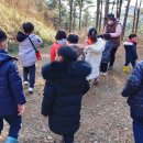 리라숲어린이집 이미지