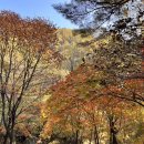 다리목마트 | 나 포천 좋아하냐… 명성산 억새축제부터 이동갈비까지 포천 여행기 !!