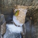 LG메트로시티어린이집 이미지