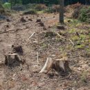 직지환경 이미지