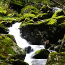 구암농장 이미지