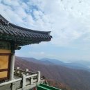 남해BlueTravelStreet캠핑장