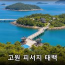 한류파트너스 | 태백 여행 완벽 가이드: 한여름에도 서늘한 고원 도시의 매력