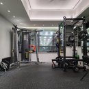 엠에스피지컬 이미지