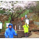 비 개인 후 이미지