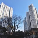 유성 공인중개사사무소 이미지