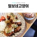 털보네 이미지