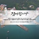 안내낚시 네이버블로그