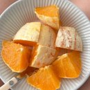 화평냉면 | [임산부 집밥 기록] 33 -34주 집밥 기록 / 집 밥 /냉털메뉴 / 임산부 식단 기록 /임신증상 기록 / 출산...