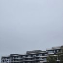 지에스25 송정S타워점 | [제주 여행] 파르나스 호텔 제주 디럭스 킹 오션뷰 객실 / 수영장 이용 후기(feat. 임산부)