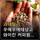 와이카