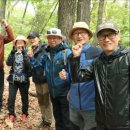 갈치저수지 덕고개 수리산 임도 오거리 철죽동산 축제 이미지