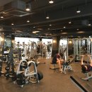 스파리스 이미지