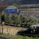 에버그린화원 이미지