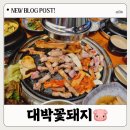 &#39;대박꽃돼지&#39; 평택 지제점 정육식당 &amp; 평택 삼겹살 맛집 방문후기