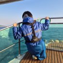 제주 돌고래 이미지