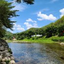 내리계곡 솔밭캠핑장 이미지