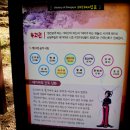 대가야박물관 이미지