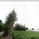 감산리 사무소 이미지