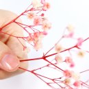 네일바름 이미지