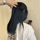 디자이너시크릿
