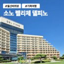 소노 펠리체 델피노 리뷰: 위치, 외관, 객실, 편의시설