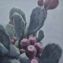 부산 Variation 부산일보