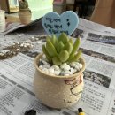 용지호수어울림도서관 이미지