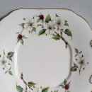 도그 블라썸 이미지