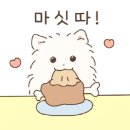 강아지맛집