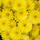 한성환경 이미지