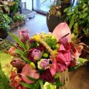 구월1동-10 이미지