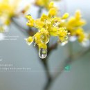 일심정화(주)