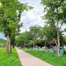 서호잔디광장 이미지