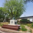 나주초등학교 이미지