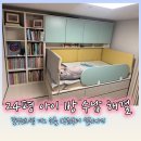 다나와생활용품 - 마포구 망원로7길 19 | 24평 아이 방 수납 끝! 꿈꾸는요셉 디노침대 쇼룸 방문부터 설치 후기, 할인까지 (내돈내산)