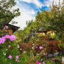 마음의 고향 이미지