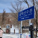 서학로 사거리 티스토리