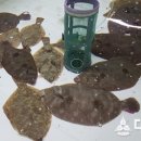 경북수산 대한뉴스