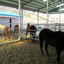 비육단지 이미지