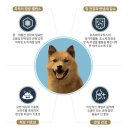 도그랑 | 도그랑 진도골드 강아지밥 20kg 할인 찬스! 진돗개 대용량 사료 최강 가성비 후기