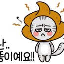 늘봄동물약국 이미지