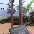 순천만 숨(suːm) 이미지