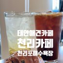 반려견동반이 가능한, 태안 만리포 천리카페