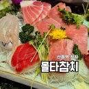 선릉역 참치 서울 3대 참치 맛집 몰타참치 선릉역 회식